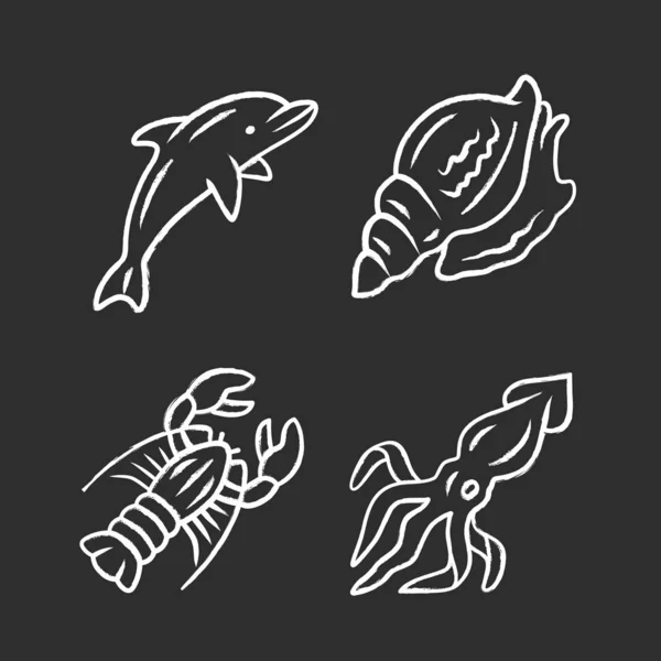 Ocean Animals Chalk Icons Set Dolphin Squid Lobster Triton Underwater — Stock Vector