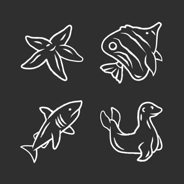 Conjunto Iconos Tiza Animales Marinos Estrella Mar Mariposa Tiburón Foca — Vector de stock