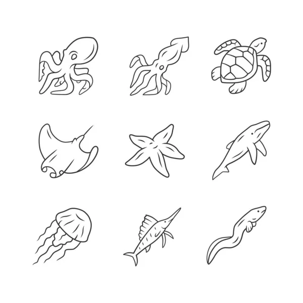 Набор Линейных Икон Морских Животных Плавающий Осьминог Морская Звезда Кальмар — стоковый вектор