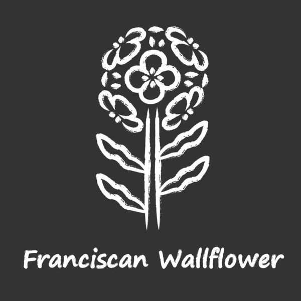 Icono Franciscano Tiza Wallflower Planta Con Flores Jardín Con Inscripción — Vector de stock