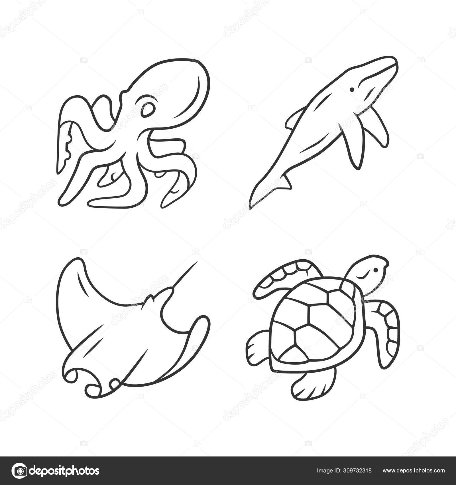 Underwater World Linear Icons Set Swimming Octopus Squid Turtle Ocean Animals Marine Fauna Aquatic Creatures Thin Line Contour Symbols Isolated Vector Outline Illustrations Editable Stroke Stock Vector Image By C Bsd Underwater World Linear Icons Set Swimming Octopus Squid Turtle Ocean Animals Marine Fauna Aquatic Creatures Thin Line Contour Symbols Isolated Vector Outline Illustrations Editable Stroke Stock Vector Image By C Bsd