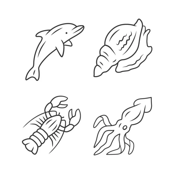 Conjunto de iconos lineales de animales marinos. Delfín, calamar, langosta, tritón. Habitante submarino. Fauna marina. Criaturas acuáticas. Símbolos de contorno de línea delgada. Ilustraciones aisladas de contornos vectoriales. Carrera editable — Vector de stock