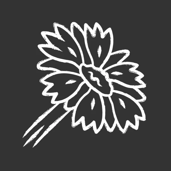 Couverture fleur craie icône. Gaillardia aristata plant de jardin. Abricot de l'Arizona. Floraison de fleurs sauvages. Été et printemps fleurissent. Illustration isolée de tableaux vectoriels — Image vectorielle