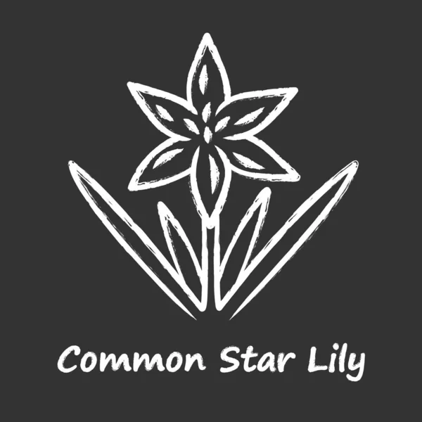 Estrella común lirio tiza icono. Floreciente flor silvestre. Flor de primavera. Planta de Toxicoscordion fremontii. Meadow deathcamas nombre inscripción. Zigadeno estrella. Ilustración aislada de pizarra vectorial — Vector de stock