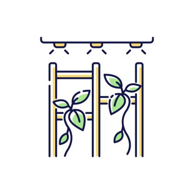 Dikey bahçe RGB renk simgesi. İç kısımda yeşillik. Kendi bahçeni yetiştir. Bahçecilik dairede. Modern peyzaj. Yeşil duvarlı ekili bitki. İzole vektör illüstrasyonu