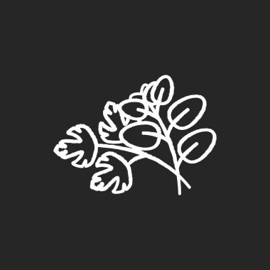 Taze bitkiler siyah arkaplanda beyaz tebeşir simgesi oluşturur. Kokulu taze sebze. İtalyan besin çeşnisi. Bitki filizi. Lezzet için giyiniyorum. Yemek pişirmek için çeşni. İzole edilmiş vektör karatahta çizimi