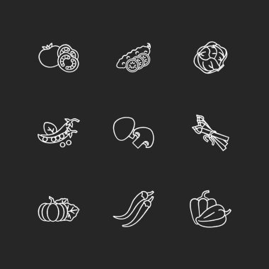 Sebzeli beyaz tebeşir simgeleri siyah arka planda. Dilimlenmiş salatalık. Ketçap hazırlamak için taze domates. Marul kafa. Bezelye sapı. Tam mantar. Olgun balkabağı. İzole edilmiş vektör karatahta çizimleri