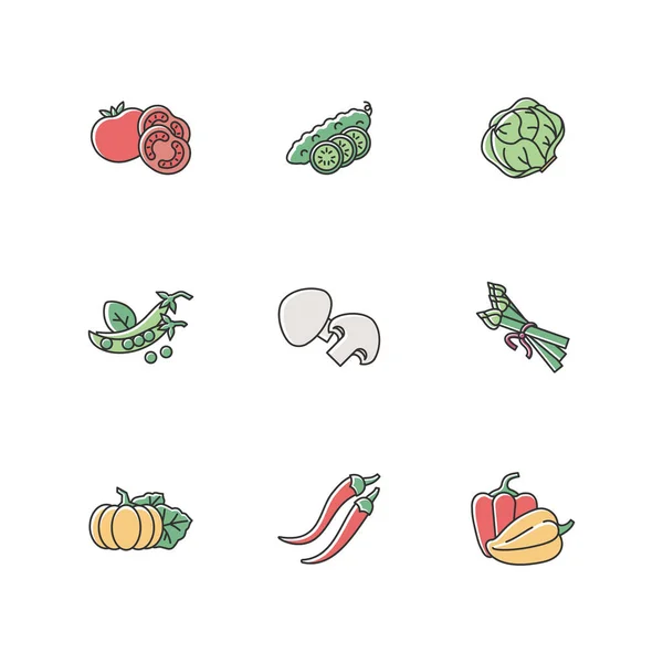 Conjunto Iconos Color Veggie Rgb Pepino Rodajas Tomate Fresco Para — Vector de stock