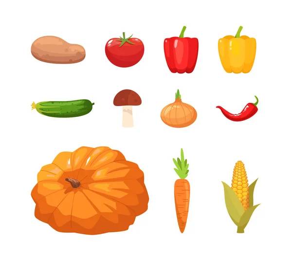 Diverse Verdure Autunnali Semi Piatto Rgb Set Illustrazione Colori Zucca — Foto Stock