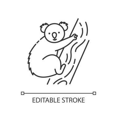 Koala pikseli mükemmel doğrusal simge. Egzotik yaban hayatı ince çizgide kişiselleştirilebilir illüstrasyon. Contour sembolü. Okaliptüs ağacı vektörünün üzerinde oturan sevimli koala ana hatlarını izole etti. Düzenlenebilir vuruş