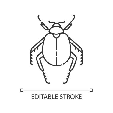 Scarab böceği pikseli mükemmel doğrusal simge. Küçük eklembacaklı, Mısırlı, çöl sakini. İnce çizgi özelleştirilebilir illüstrasyon. Contour sembolü. Vektör izole çizim. Düzenlenebilir vuruş