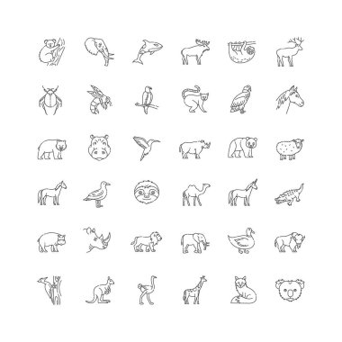 Vahşi yaşam pikseli mükemmel doğrusal simgeler seti. Hayvanlar ve tropikal vahşi yaşam özelleştirilebilir ince çizgi çizgileri sembolleri. Farklı doğa sakinleri. İzole vektör çizimi çizimleri. Düzenlenebilir vuruş