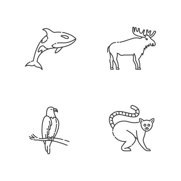 不同的动物种类的像素完美线形图标集 杀人鲸 异国情调的狐猴 鹰和麋鹿定制的细线轮廓符号 孤立的矢量轮廓图解 可编辑笔划 — 图库矢量图片