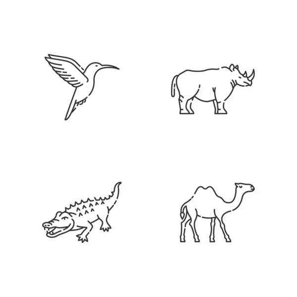 异型动物的像素完美线形图标集 可定制的细线轮廓符号 小蜂鸟 鳄鱼和犀牛孤立的矢量轮廓图解 可编辑笔划 — 图库矢量图片
