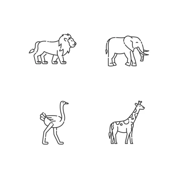 アフリカの野生動物のピクセル完璧な線形アイコンセット カスタマイズ可能な細い線の輪郭記号 ライオン キリン ダチョウ 絶縁ベクトルアウトラインイラスト 編集可能なストローク — ストックベクタ