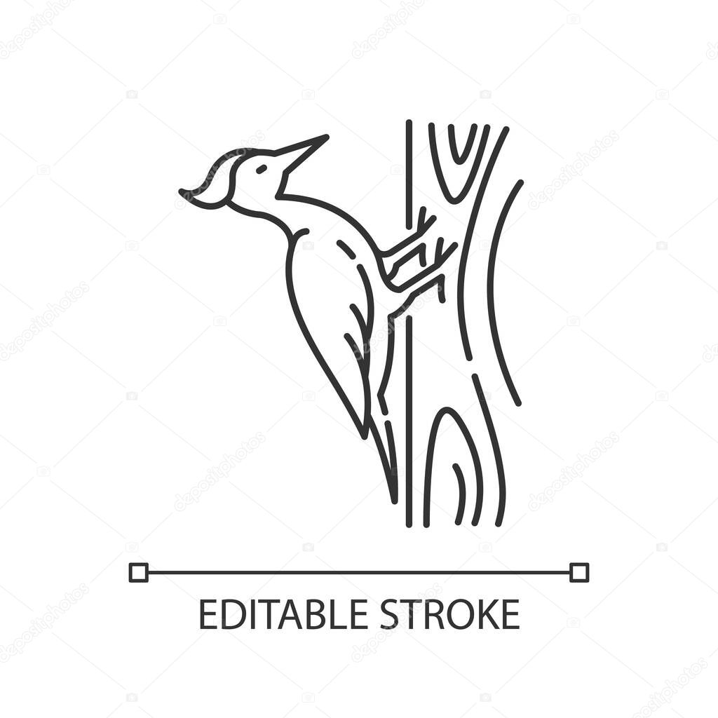 Woodpecker pixel perfect linear icon. Zoology, ornithology thin line customizable illustration. Contour symbol. Pecker sitting on tree vector isolated outline drawing. Editable stroke