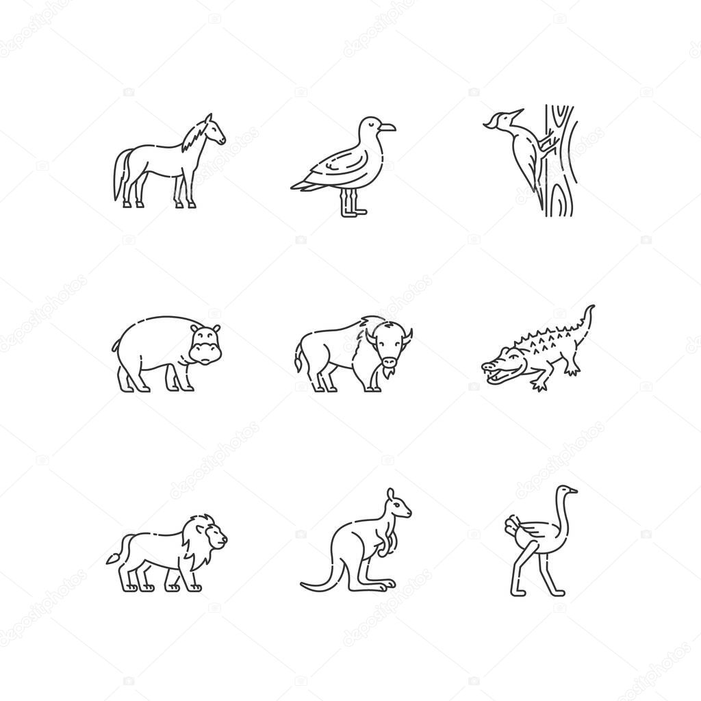 Flying and land animals pixel perfect linear icons set. Common birds and exotic wildlife customizable thin line contour symbols. Isolated vector outline illustrations. Editable stroke