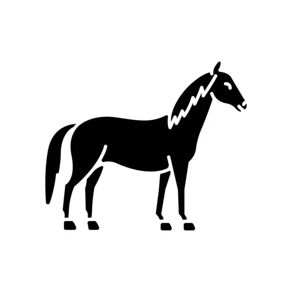 Ikona Černého Glyfu Koně Divoký Hřebec Obyčejný Klisna Jezdecký Sport — Stockový vektor