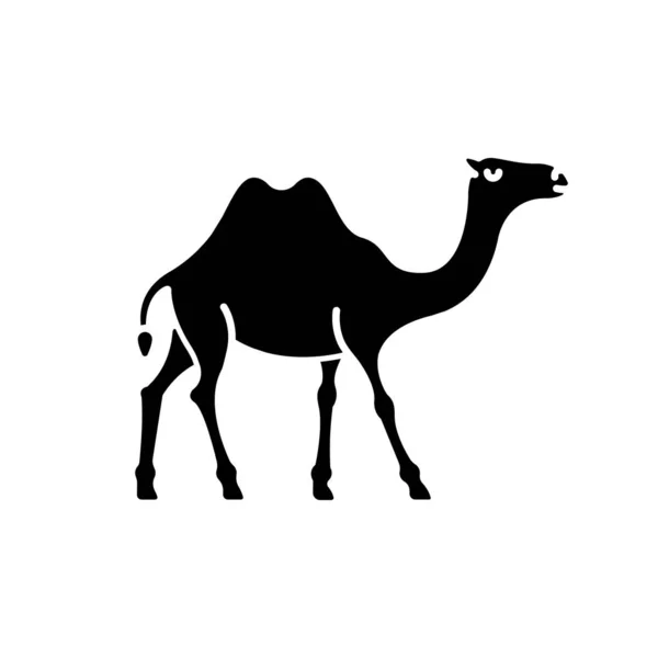 Ikona Czarnego Glifa Wielbłąda Udomowione Zwierzę Arabskie Tropikalny Klimat Egzotyczna — Wektor stockowy