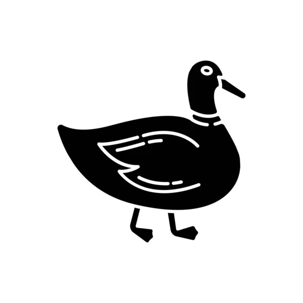 Icône Glyphe Noir Canard Sauvagine Commune Oiseau Domestique Animal Migrateur — Image vectorielle