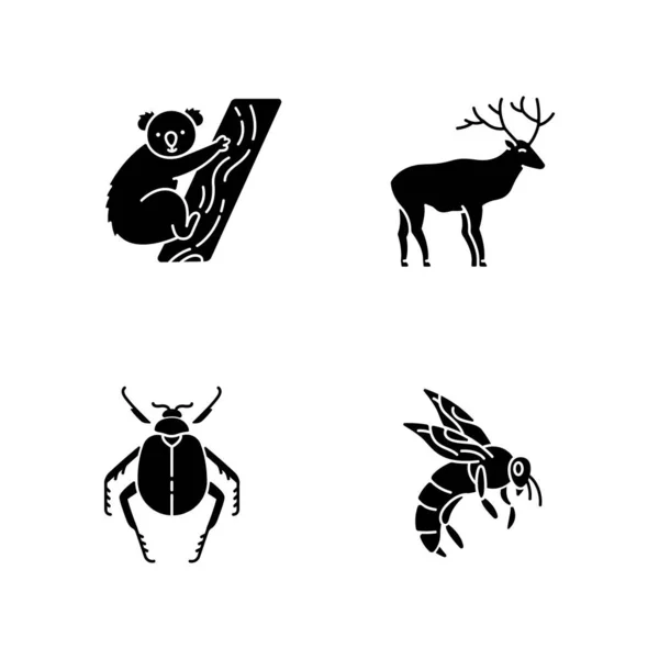 Mammals Insects Black Glyph Icons Set White Space Tropical Koala — Stock Vector