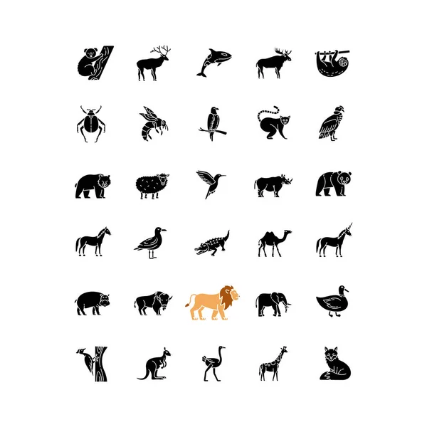 Wildlife Black Glyph Icons Set White Space Ordinary Animals Tropical — Stock Vector