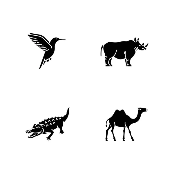 Exotic Animals Black Glyph Icons Set White Space Tropical Fauna — Stock Vector