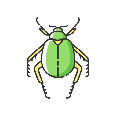 Böcek böceği RGB renk simgesi. Küçük eklembacaklı, Mısırlı, çöl sakini. Zooloji, böcek bilimi, eski Mısır kültürü. Bok böceği izole edilmiş vektör çizimi