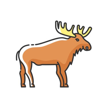 Elk RGB renk simgesi. Büyük boynuzları olan toynaklı geviş getiren bir hayvan. Amerikan Ormanı Vahşi Hayatı. Büyük boynuzlu otçul wapiti. Kanada geyiği izole edilmiş vektör çizimi