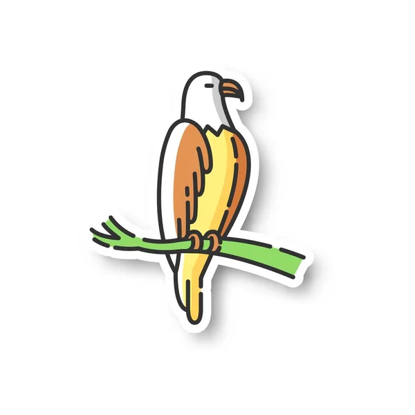 Parche Águila Peligroso Pájaro Presa Animal Volador Depredador Alado Etiqueta — Vector de stock