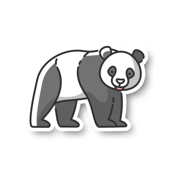 Panda Bear Patch Native Chinese Fauna Common Asian Wildlife Zoo — Stock Vector