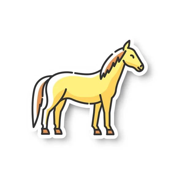 Mancha Cavalo Garanhão Selvagem Cavalo Comum Égua Esporte Equestre Reprodução — Vetor de Stock