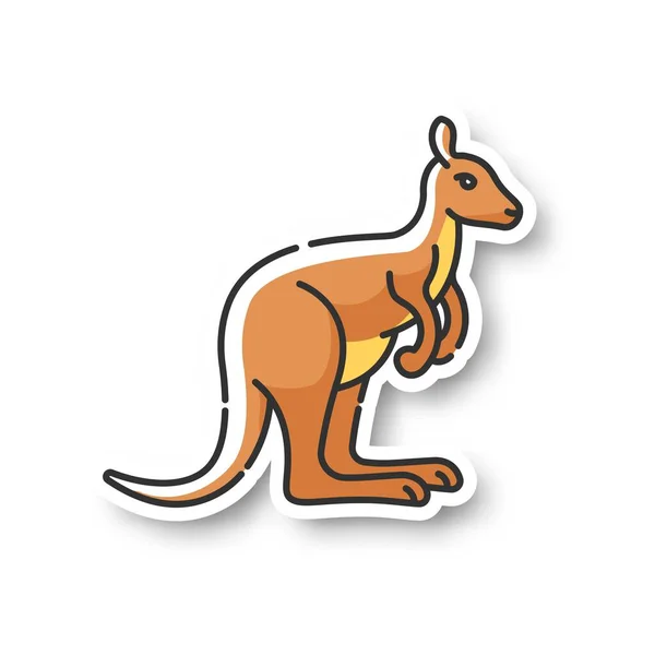 袋鼠补丁 异国情调的袋鼠 野生袋鼠 热带动物园的居民 澳大利亚动物 动物学Rgb彩色可打印贴纸 跳跃的有袋动物病媒隔离说明 — 图库矢量图片