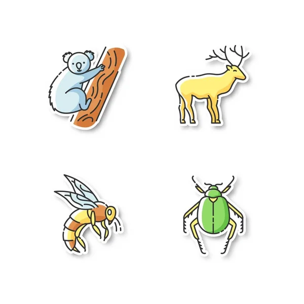Mammals Insects Printable Patches Tropical Koala Forest Deer Scarab Beetle — Stock Vector