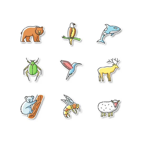 动物物种可打印补丁 陆生动物和海洋生物Rgb彩色贴纸 别针和徽章设置 各种各样的野生动物 奇异的和普通的动物 病媒孤立的说明 — 图库矢量图片