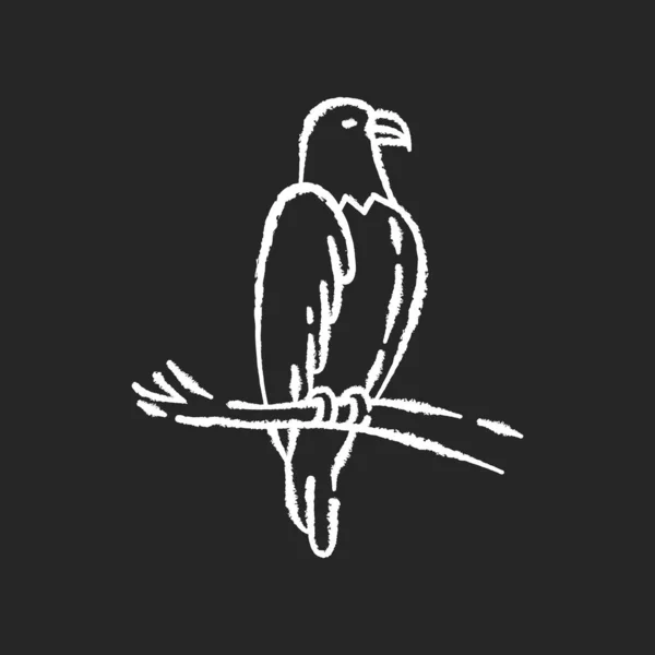 黒の背景にイーグルチョーク白のアイコン 危険な獲物 空飛ぶ動物 翼のある捕食者 アメリカ国民だ ホーク フォルコン木の枝に座って孤立ベクトルチャークボードイラスト — ストックベクタ
