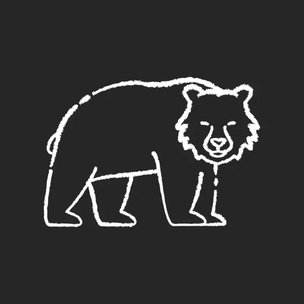 Medvěd Hnědý Křída Bílá Ikona Černém Pozadí Velký Masožravý Dravec — Stockový vektor