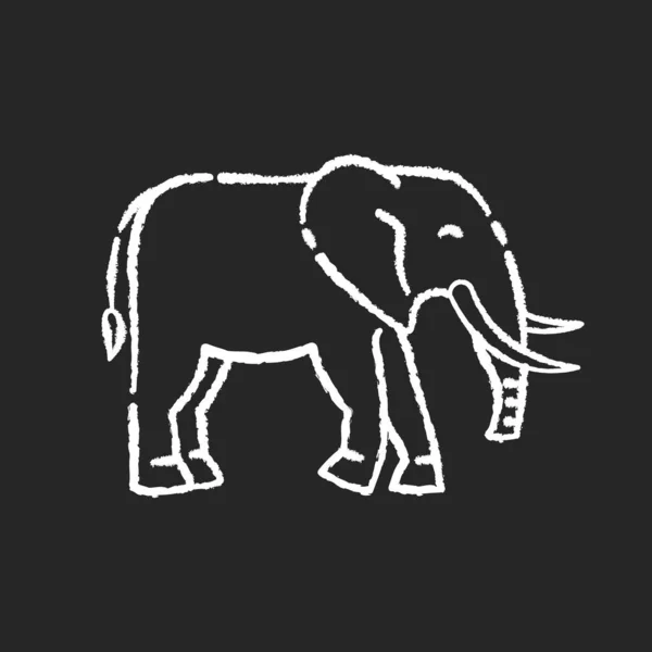 黒の背景に象のチョーク白のアイコン 広大な土地の動物 エキゾチックな野生動物 アフリカのサバンナ インドの動物 巨大な哺乳類で 長い幹と牙が孤立したベクトルチャークボードイラスト — ストックベクタ