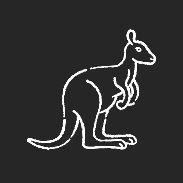 黒の背景にカンガルーチョークホワイトのアイコン エキゾチックなワラビー 野生のワラルー 熱帯動物園の住人 オーストラリアの動物学 マーシュアル動物分離ベクトルチャークボードのイラストをジャンプ — ストックベクタ