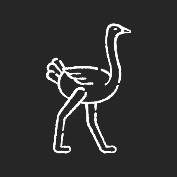 Ostrich Chalk White Icon Black Background 아프리카 동물원 조류학 다리를 — 스톡 벡터