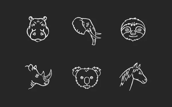 Animal Heads Chalk White Icons Set Black Background Exotic Mammals — Stock Vector