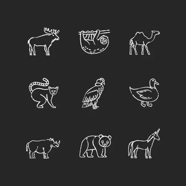 Mamíferos Aves Tiza Iconos Blancos Sobre Fondo Negro Animales Voladores — Archivo Imágenes Vectoriales