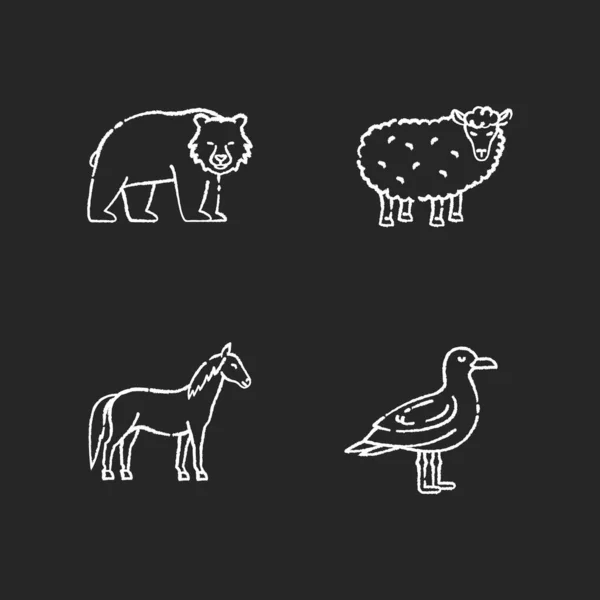 家养和野生动物粉笔白色图标设置在黑色背景 马和羊 哺乳动物和鸟类 森林野生动物和农场牲畜 孤立的病媒黑板插图 — 图库矢量图片