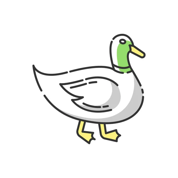 Εικόνα Χρώματος Duck Rgb Κοινά Άγρια Υδρόβια Πτηνά Οικόσιτο Πουλί — Διανυσματικό Αρχείο