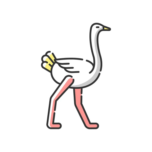 Ostrich Rgb 아이콘 아프리카 동물원 조류학 다리를 — 스톡 벡터