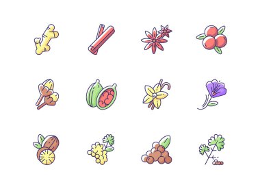 Hint baharatları RGB renk simgeleri seti. Aromatik aromalı. Tarçın ve yıldız anason. Kişniş ve karabiber. Asya baharatları. Geleneksel Hint baharatları. İzole vektör çizimleri