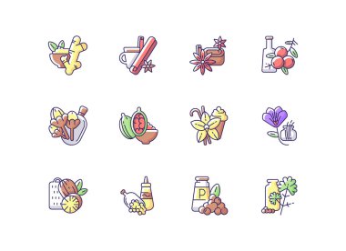 Klasik baharat RGB renk simgeleri seti. Yemek çeşnisi. Hint baharatları. Tarçın ve vanilya. Hardal tohumu ve karabiber. Nutmeg. Geleneksel Asya baharatları ve bitkileri. İzole vektör çizimleri