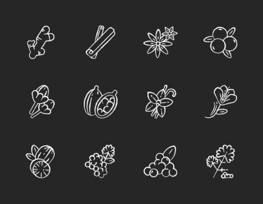 Hint baharatları siyah arka planda beyaz tebeşir simgeleri. Aromatik aromalı. Tarçın ve yıldız anason. Kişniş ve karabiber. Asya baharatları. İzole edilmiş vektör karatahta çizimleri