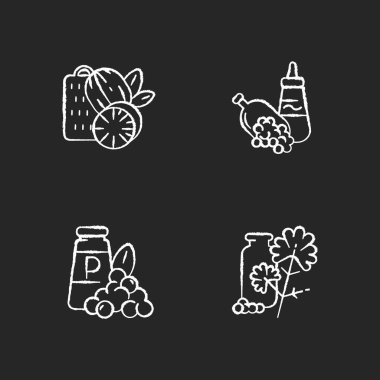 Baharatlı baharatlar siyah arkaplanda beyaz tebeşir simgeleri oluşturur. Yemek çeşnisi. Doğal takviye. Sos pişiriyorum. Hardal ve karabiber. Cilantro. İzole edilmiş vektör karatahta çizimleri