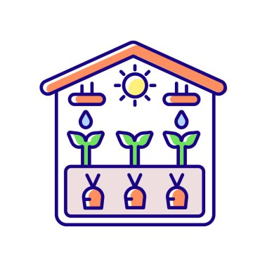 Sera RGB renk simgesi. Seradan alınmış mahsul. Serada hasat edin. Profesyonel bahçıvanlık yapısı. Sebze yetiştir. Tarım sektörü. İzole vektör illüstrasyonu